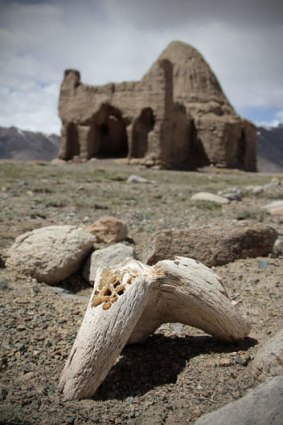 Bones dry and bleach near an ancient Chinese tomb.