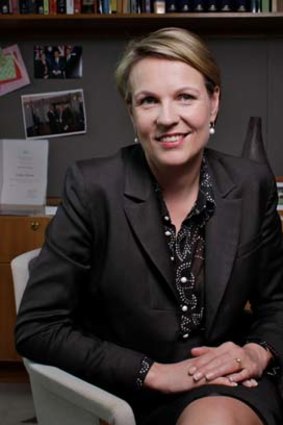 "It is imperative the Commonwealth work with states and territories to identify how to give international full-fee paying medical graduates ...  an opportunity to access intern positions" ... Tanya Plibersek.
