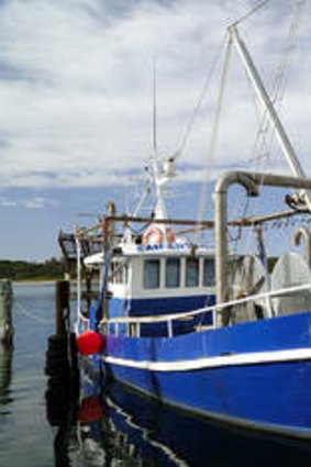 Part of the fishing fleet.