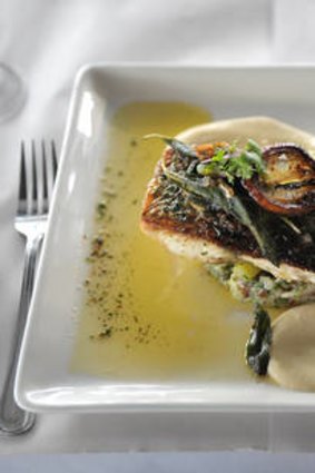 Barramundi with celeriac puree.