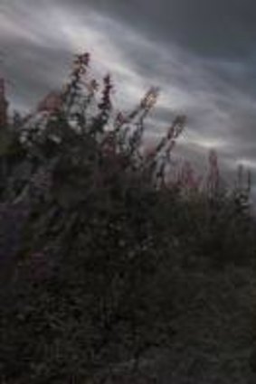 Dear Esther offers and unorthodox story, but no traditional gameplay.