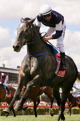 All class: Efficient, with Michael Rodd aboard, races clear to win the 2007 Melbourne Cup.