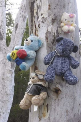 Teddies on a tree between Queanbeyan and Bungendore.