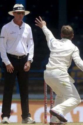 Kane Williamson unsuccessfully appeals to Australian umpire Rodney Tucker for an LBW decision.