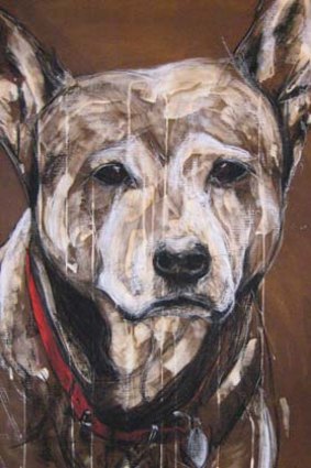 Dasher, the Surry Hills "community" dog whose death a year ago united a community. By Tash Lehane
