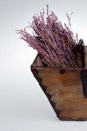 The smell of lavender is said to enhance performance.