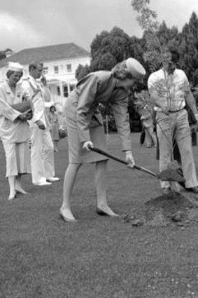 Lady Dianan plants a Golden Ash tree during her visit to Government House.