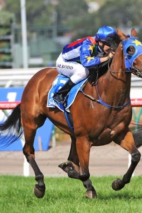 Fiveandahalfstar has finished second thrice in Melbourne, including in the Australian Cup, as he runs himself into fitness for Sydney.