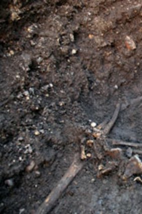 The skeleton of Richard III as it was found at the Grey Friars Church excavation site.