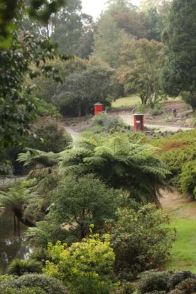 National Rhododendron Garden in Olinda shows duck pond and telephone boxes.