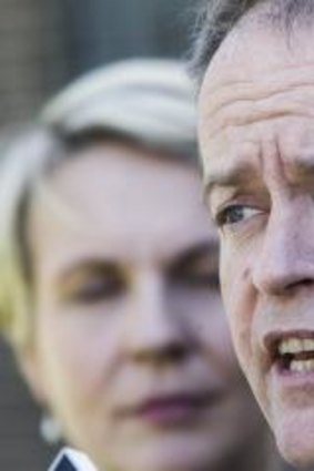 Labor leader Bill Shorten has again called for the Abbott government to consider a ban on Vladimir Putin attending the G20 summit in November.