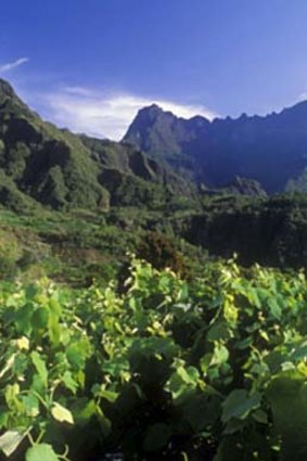 The rugged Reunion Island interior.