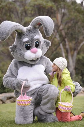 Check out where all the Easter egg hunts are happening in Canberra and region this Easter. 