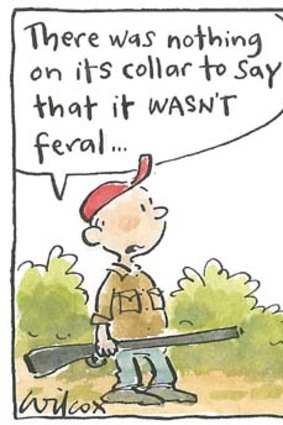 <em>Illustration: Cathy Wilcox</em>