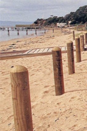 The controversial bollards.