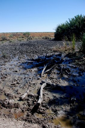 The waters of the Great Artesian Basin flow to the surface in parts of the eastern portion of the Outback.