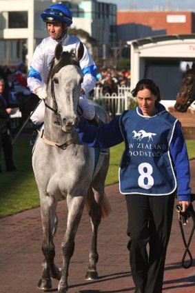 High hopes: Luckygray will fly the flag for Western Australia in the Newmarket Handicap.