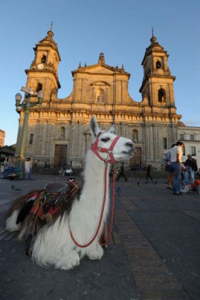 Cathedral Plaza de Bolivar Old Town Calendaria.