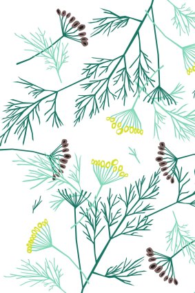 Dill, one of graphic designer Caz Hildebrand's images from <i>Herbarium</i>.