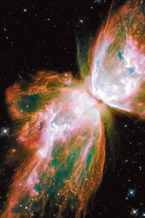 NGC6302, or more popularly called the Butterfly Nebula, from the Hubble telescope.