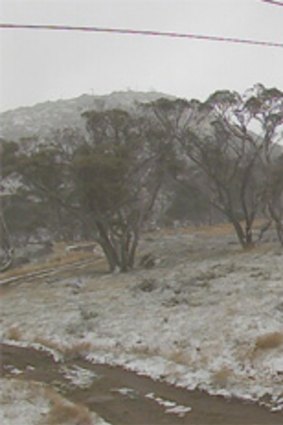 An image from Perisher's Happy Valley snow cam at 10.45am on Friday, April 19.