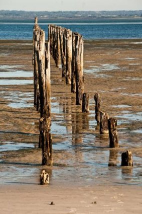 Atmosphere: More than a hint of days gone by is the old peier at French Island