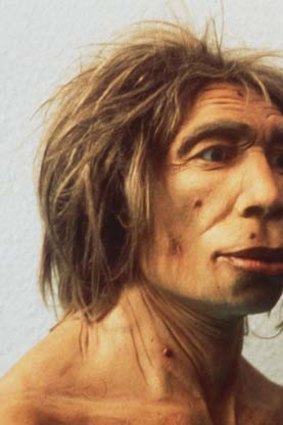 Gone: Neanderthal man struggled socially.