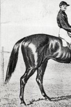 The original Archer, the horse that won the first two Melbourne cups.