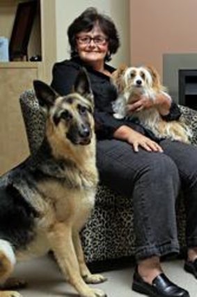 Animal behaviourist Dr Linda Marston at home with her three dogs: Pixie, a German Shepherd-Kelpie cross; Ginnie, a Papillon-Jack Russell terrier cross; and Jed, a purebred German Shepherd.
