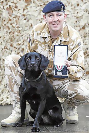 Treo the Labrador and Sergeant David Heyhoe with the medal.