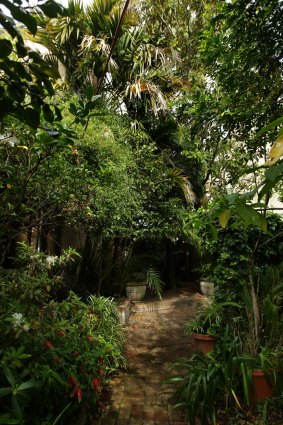 The garden view at Margaret Olley's vacant house in Paddington, Sydney, in 2013. 