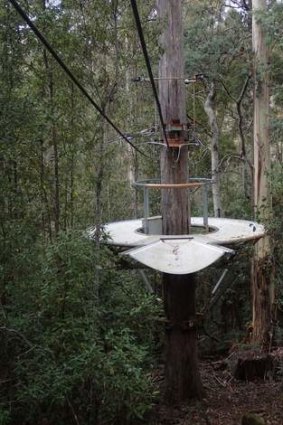 Pictures of a zipline which has been built in Tasmania.