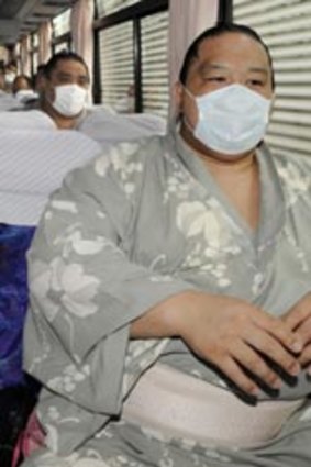 Risky business...touring Japanese sumo wrestlers wear masks as a precaution against swine flu.