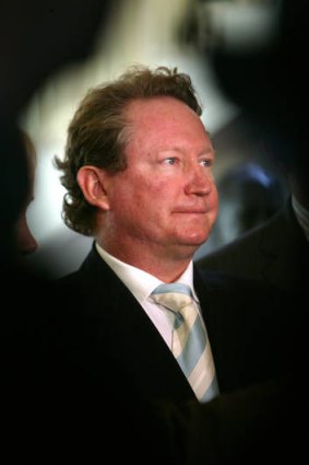 CEO of Fortescue Metals Group Andrew Forrest.