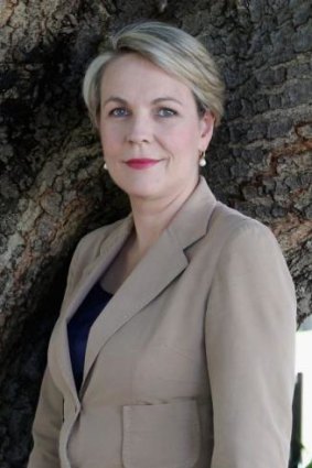 Under fire: Deputy Labor leader Tanya Plibersek.