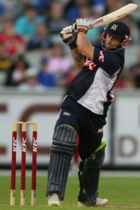 Proficient bat: Matthew Wade in action  for the Bushrangers in a Big Bash match.