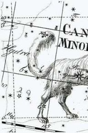 Dogs in space: Canis Minor, or Little Dog.