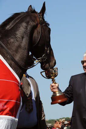 Legendary trainer Bart Cummings, after Viewed, who was trained at Saintly Lodge, won the 2008 Melbourne Cup.
