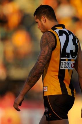A week in the stands:Hawk star Lance Franklin.