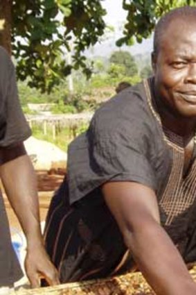 A worker with Ghana's Kuapa Kokoo farmers' co-operative with Fairtrade-certified beans.
