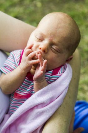 One-month-old Allegra Bluebelle.