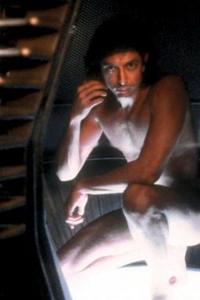 Dark buzz: Jeff Goldblum in David Cronenberg's <i>The Fly</i>.