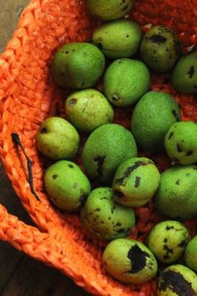 Walnuts, if you pick them green and before the nut forms, they're good for pickling.