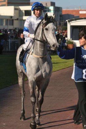 Luckygray is set to impress on home soil.