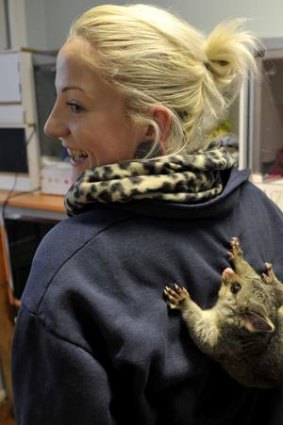 RSPCA Senior Wildlife Assistant Ash Johnston with one of her charges.