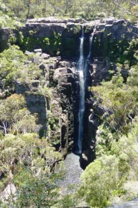 Carrington Falls – a 50 metre drop