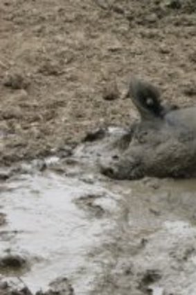 When you get in the mud with a pig, you get dirty and the pig gets happy.