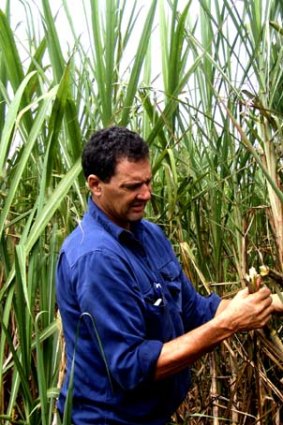 Queensland cane grower Mario Raccanello.