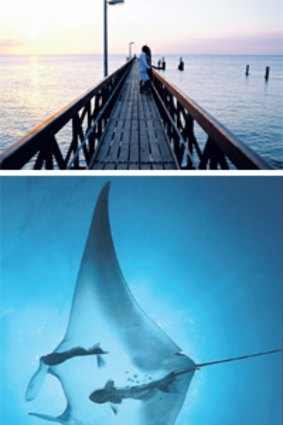 Straddie time ... (from tom) the jetty at Amity Point; diving with manta rays; Point Lookout, the most developed of North Stradbroke Island's three villages.