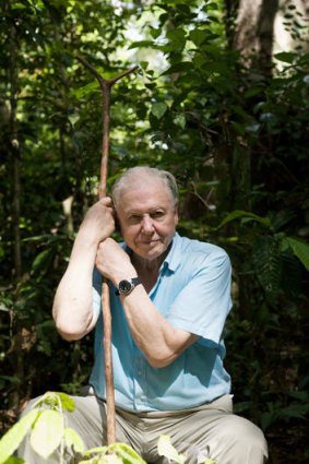 National treasure &#8230; David Attenborough guides us once again through Africa.